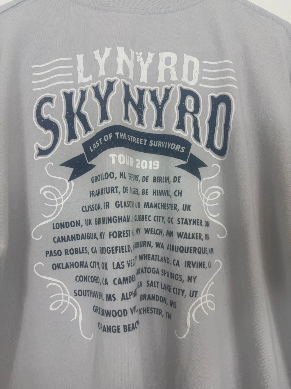 Lynyrd Skynyrd Last Of The Street Survivors Tour 2019 T-Shirt Gray